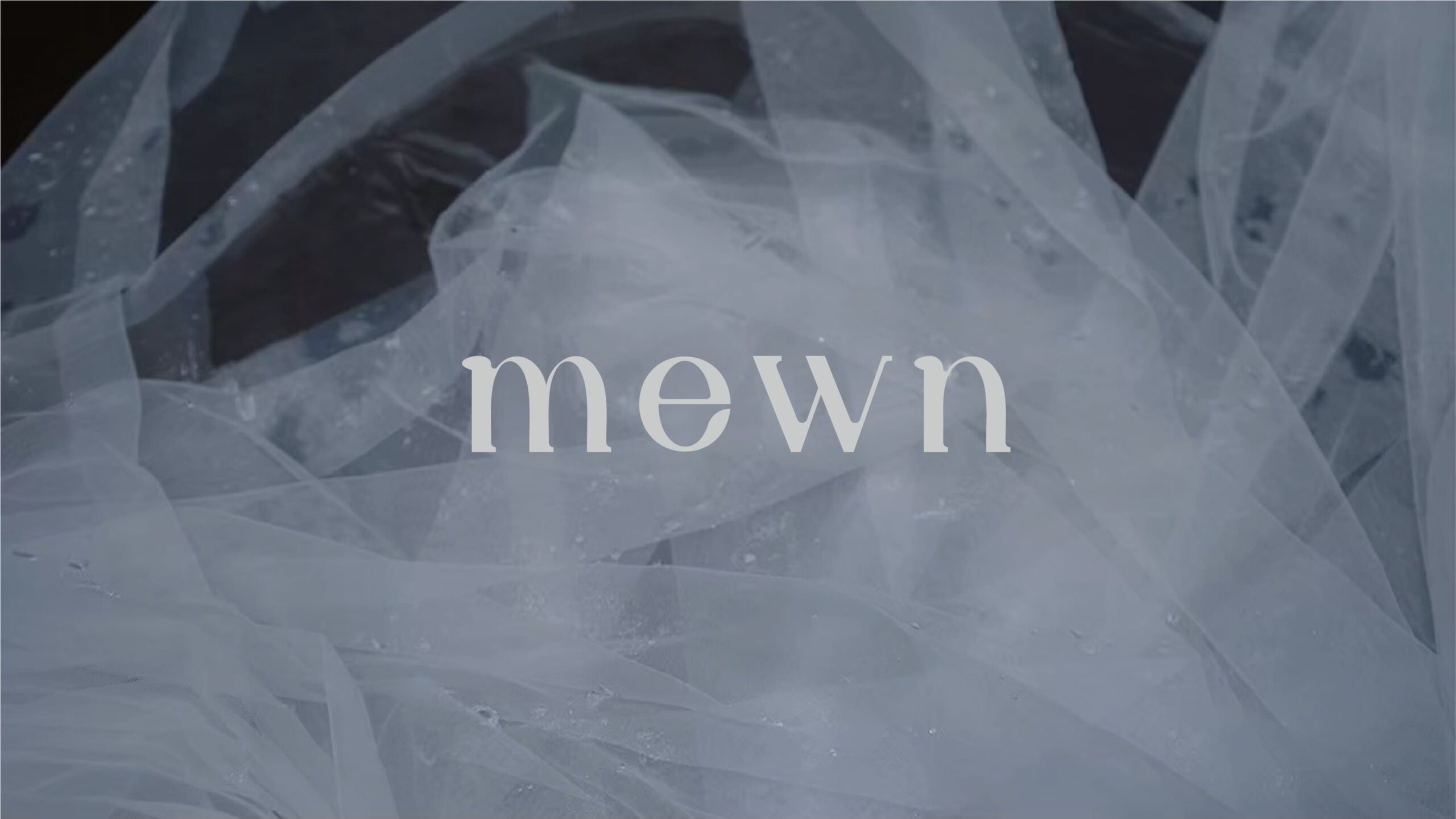 mewn-logo-2-1-scaled.jpg